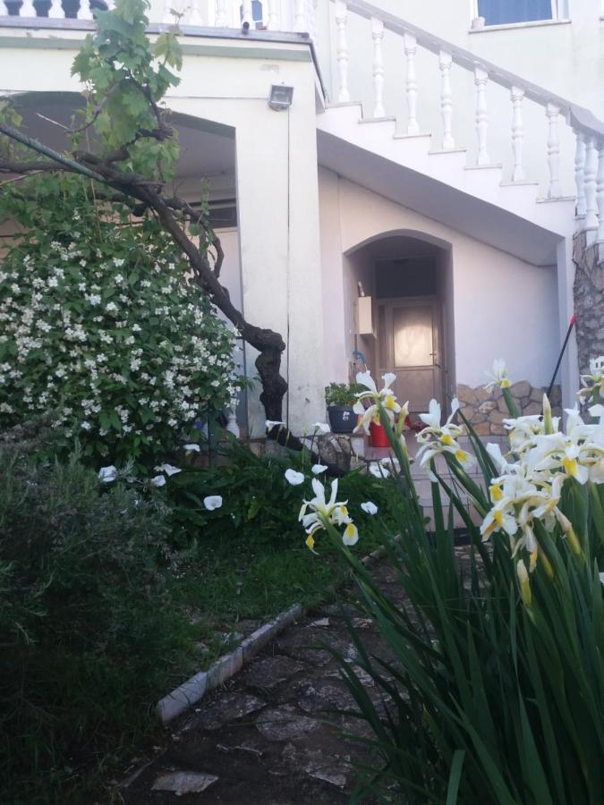 Olivera Apartments Пула Екстериор снимка